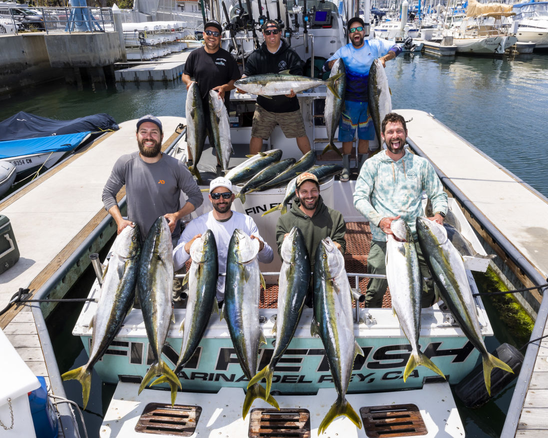 Fin Fetish Yellowtail 5 3 22